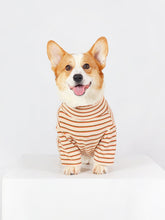 Shirts for Corgis